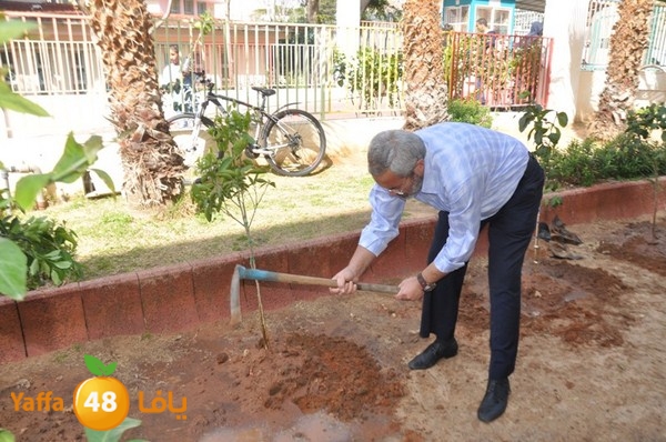 trees shamela 0321 (19).JPG